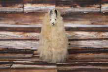 Load image into Gallery viewer, Baby Alpaca Llama Figurine Peruvian Stuffed fur Llama Beige Color 6.25&quot; Tall